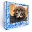 Puzzle bambini gatti