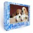 puzzle bambini cani beagle