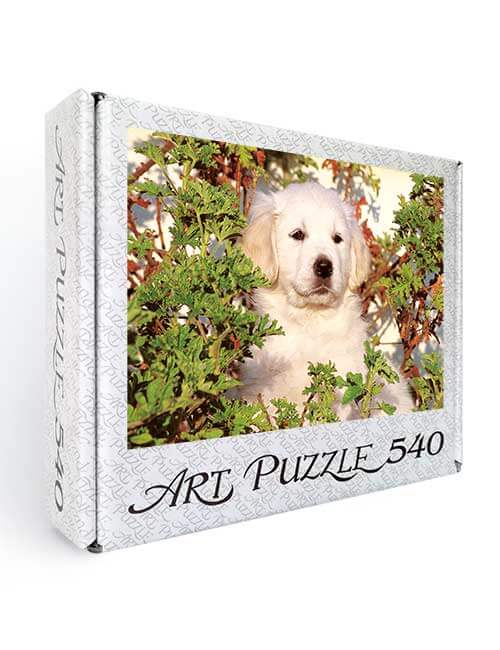 Art Puzzle 540 pezzi cucciolo cane bianco