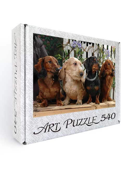 Art Puzzle 540 pezzi cani bassotti