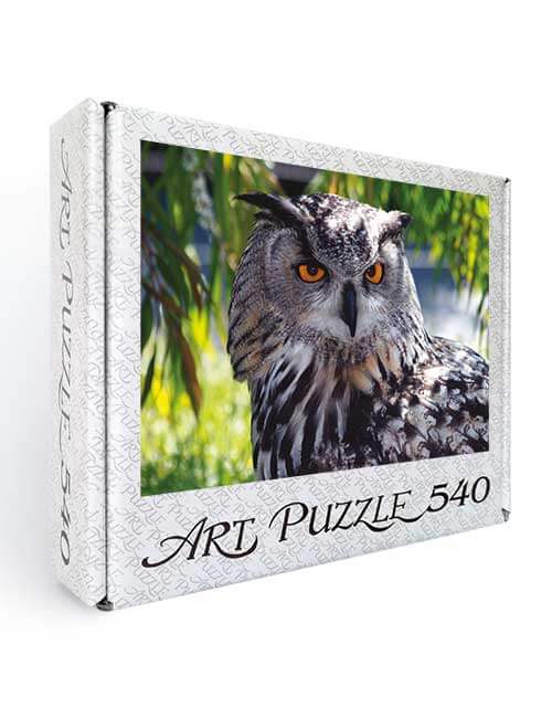Art Puzzle 540 pezzi gufo