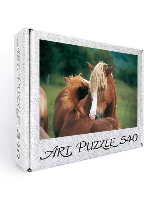 Art Puzzle 540 pezzi cavalli