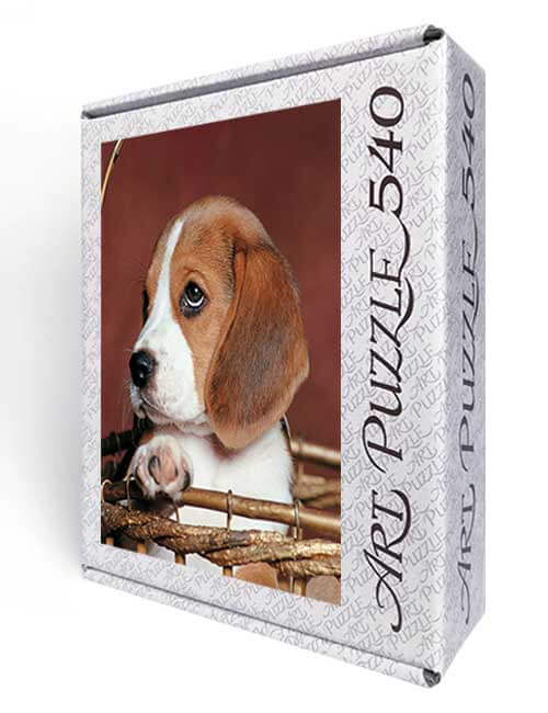 Art Puzzle 540 pezzi cane beagle