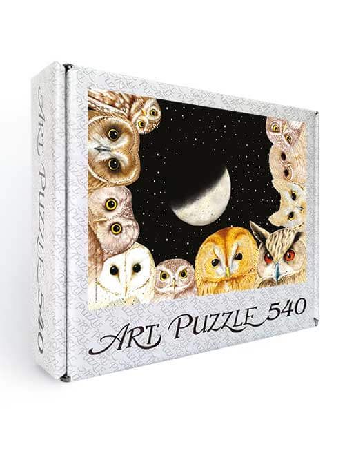Art Puzzle 540 pezzi gufi notte