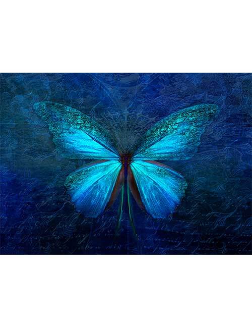 Puzzle 500 micro tessere farfalla blu