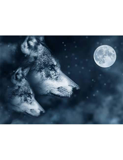 Puzzle 500 micro tessere lupi notte luna piena