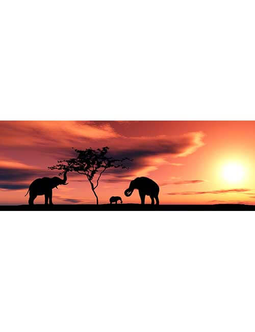Puzzle 1000 micro tessere elefanti tramonto Africa
