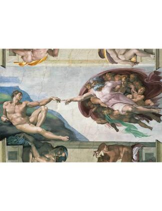 Puzzle 500 pezzi Creazione Michelangelo