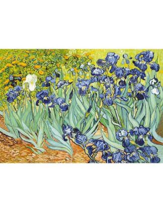 Puzzle 500 pezzi Iris Van Gogh