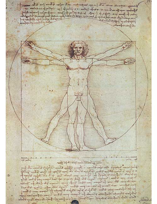 Art Puzzle 1000 pezzi Uomo vitruviano Leonardo da Vinci