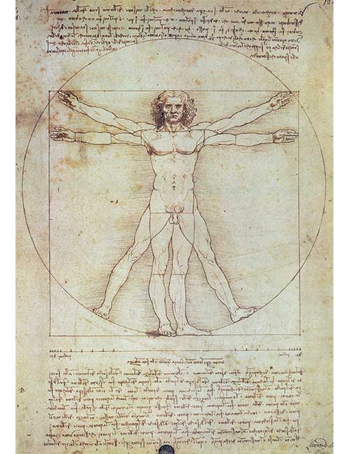 Puzzle 500 pezzi uomo vitruviano Leonardo da Vinci