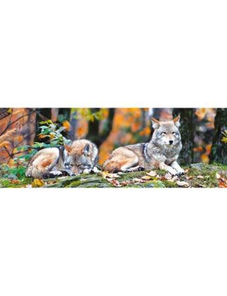 Art puzzle 1000 pezzi panoramico lupi bosco