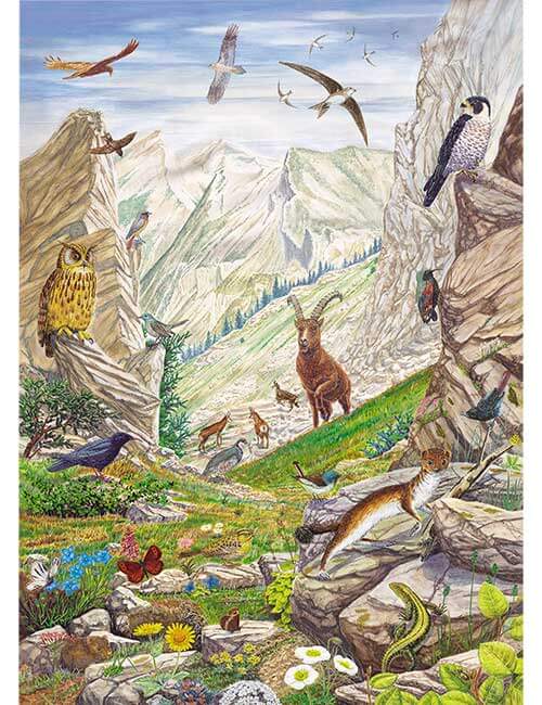 Art Puzzle 1000 pezzi montagna fiori e animali