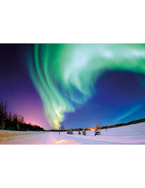 Art Puzzle 540 pezzi Aurora boreale neve