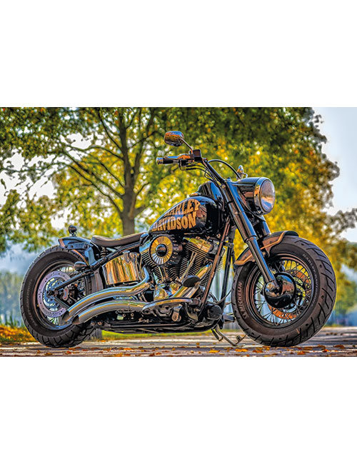 Art Puzzle 540 pezzi Harley Davidson